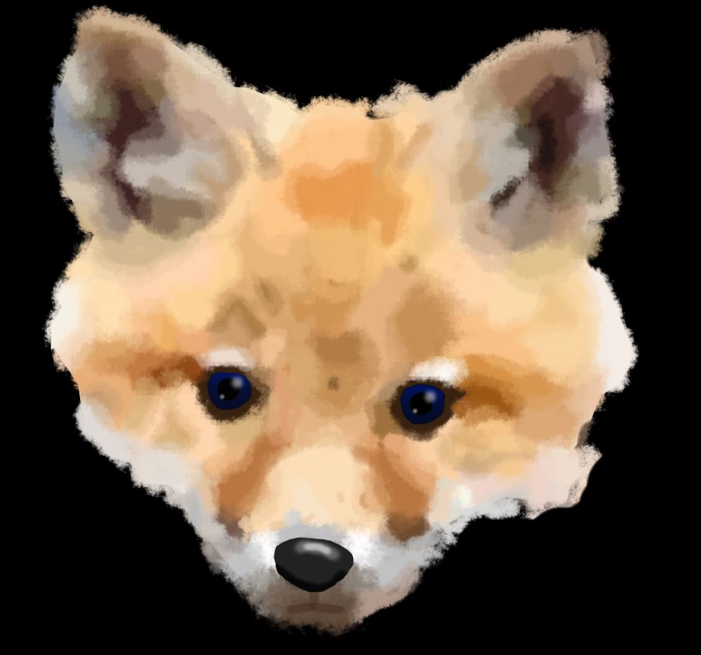 Foxpup